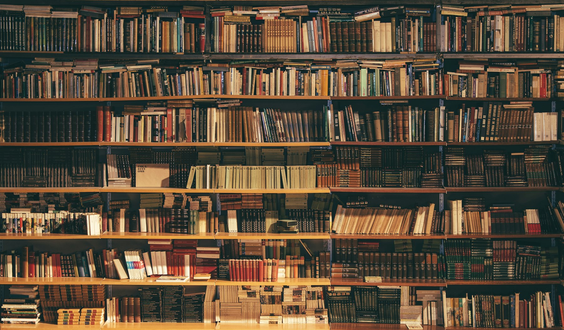 Estantes com livros e registros
